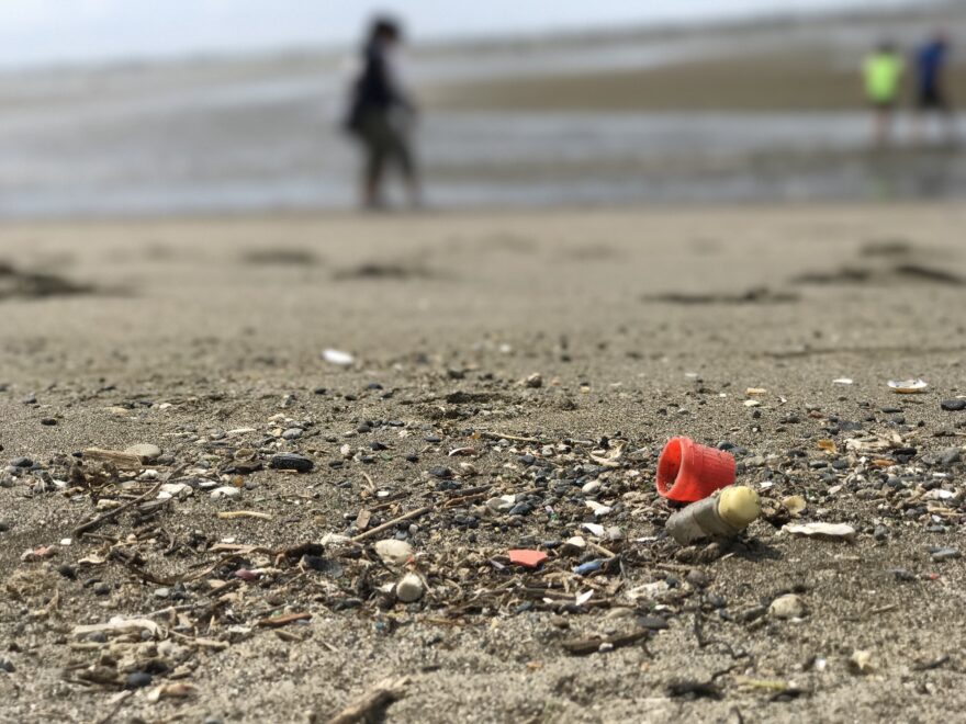 【葛西臨海公園】東京の海でゴミ拾い！