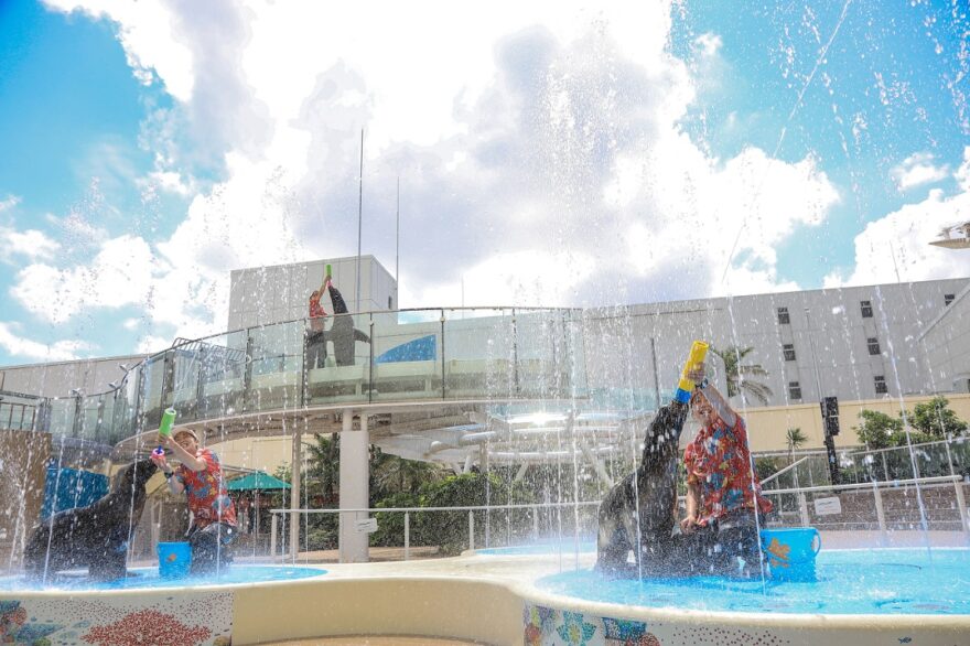 サンシャイン水族館☆夏限定イベントご紹介！！