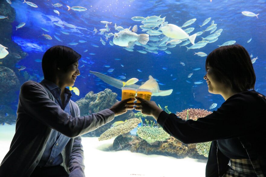 サンシャイン水族館で過ごす大人な夜☆