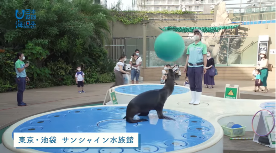 【withコロナ時代】サンシャイン水族館に求められる役割とは？！