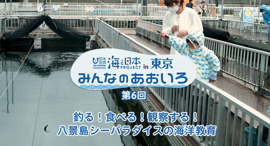 第六回 八景島シーパラダイスの海洋教育｜みんなのあおいろ2021　