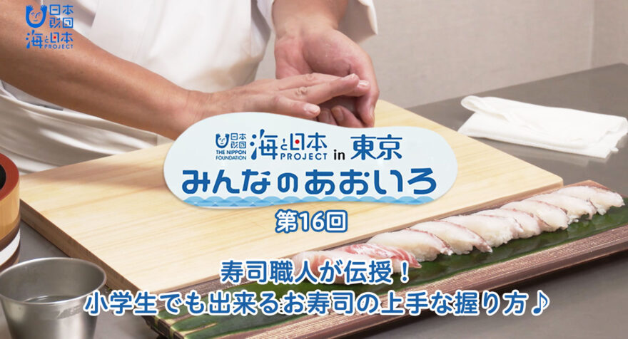 第十六回 寿司職人が伝授！小学生でも出来るお寿司の上手な握り方♪｜みんなのあおいろ2021