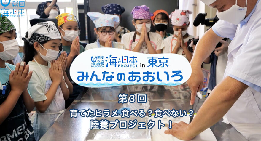 第３回　育てたヒラメ 食べる？食べない？ 陸養プロジェクト｜みんなのあおいろ2022