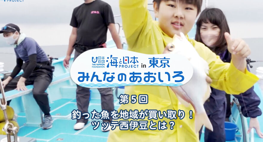 第５回　釣った魚を地域が買い取り！ツッテ西伊豆とは？｜みんなのあおいろ2022