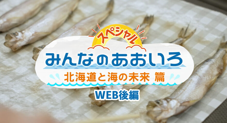 みんなのあおいろ・30分スペシャル！北海道と海の未来篇 〜WEBまとめ後編〜