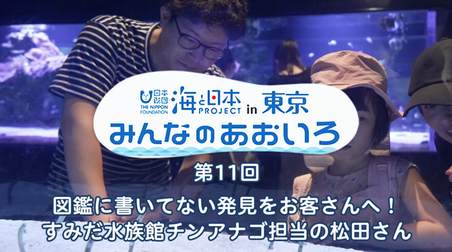 2024年度みんなのあおいろ　第11回 図鑑に書いてない発見をお客さんへ！ すみだ水族館チンアナゴ担当の松田さん