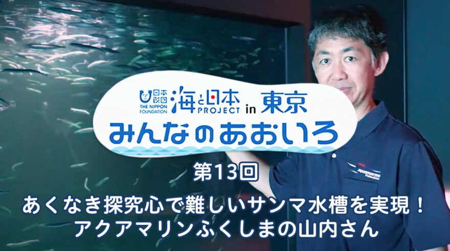 2024年度みんなのあおいろ　第13回 あくなき探究心で難しいサンマ水槽を実現！ アクアマリンふくしまの山内さん