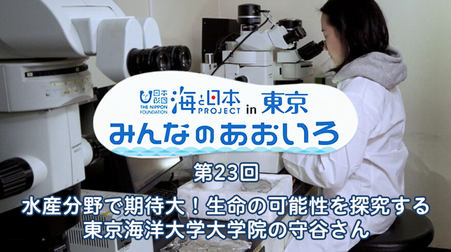 2024年度みんなのあおいろ　第23回 水産分野で期待大！生命の可能性を探究する 東京海洋大学大学院の守谷さん