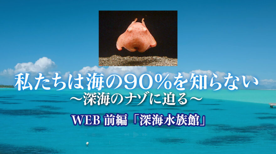 私たちは海の90%を知らない〜深海の謎に迫る〜　WEB前編「深海水族館」