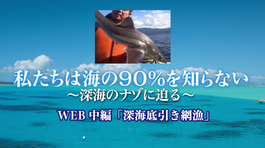 私たちは海の90%を知らない〜深海の謎に迫る〜　WEB中編「深海底引き網漁」