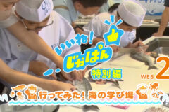 いいね！じゃぱん・特別編「行ってみた！海の学び場」WEB2