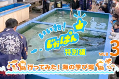 いいね！じゃぱん・特別編「行ってみた！海の学び場」WEB3