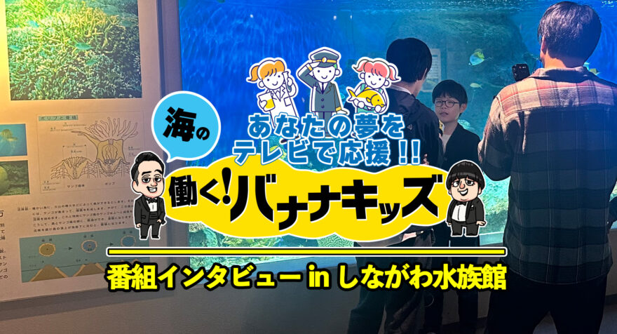 海の働く！バナナキッズ　番組インタビュー in しながわ水族館