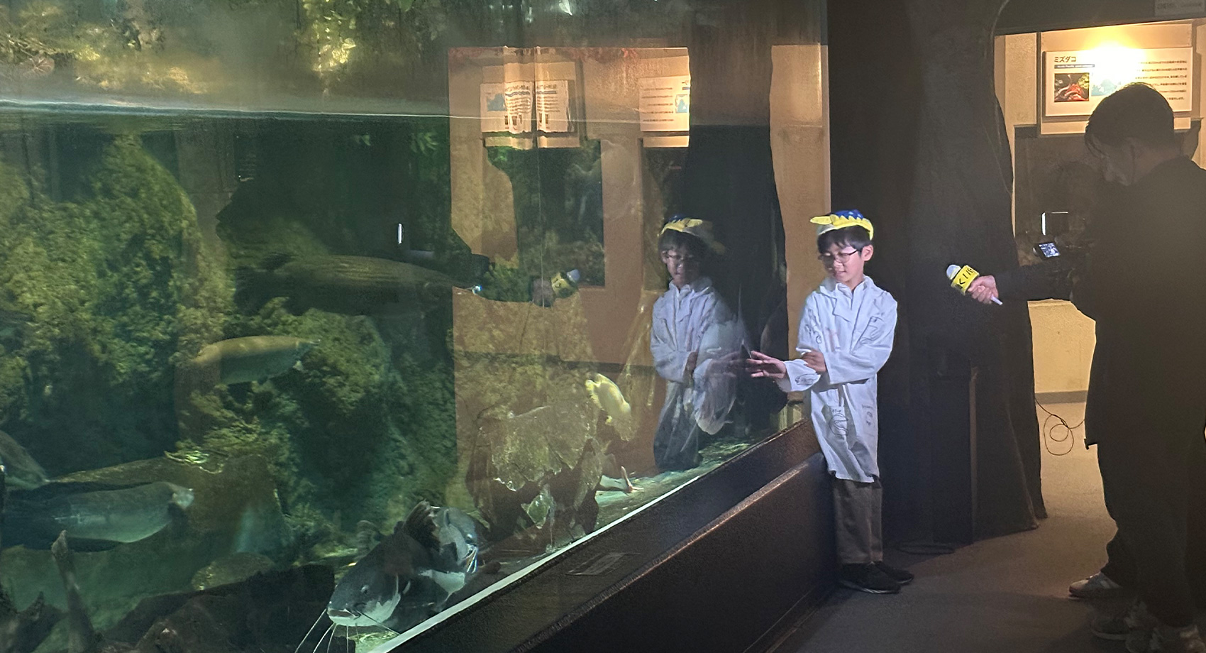 海のキッズサポーター