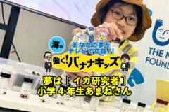 海の働く！バナナキッズ　夢はイカ研究者　小学4年生あまねさん