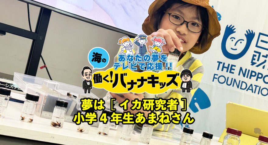 海の働く！バナナキッズ　夢はイカ研究者　小学4年生あまねさん