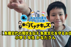 海の働く！バナナキッズ　夢は魚種交代の現状を伝え、魚食文化を守るお仕事　小学5年生かなたさん