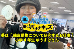 海の働く！バナナキッズ　夢は棘皮（きょくひ）動物について研究するお仕事　小学4年生ゆうすけさん
