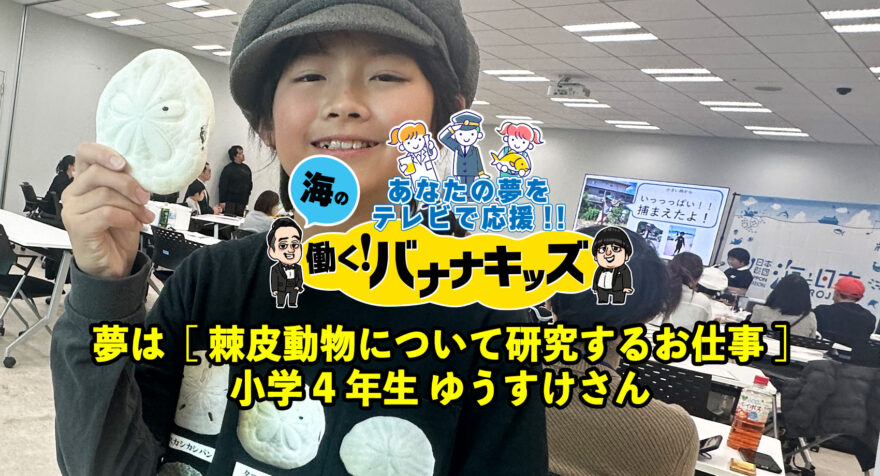 海の働く！バナナキッズ　夢は棘皮（きょくひ）動物について研究するお仕事　小学4年生ゆうすけさん