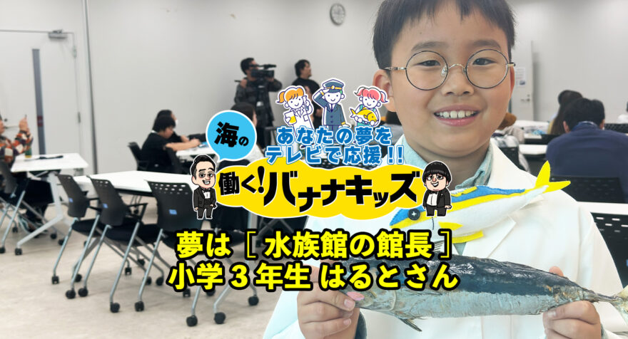 海の働く！バナナキッズ　夢は水族館の館長　小学3年生はるとさん