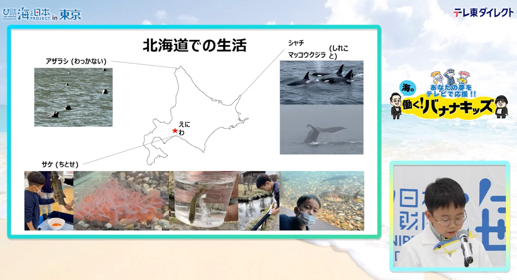 海のキッズサポーター