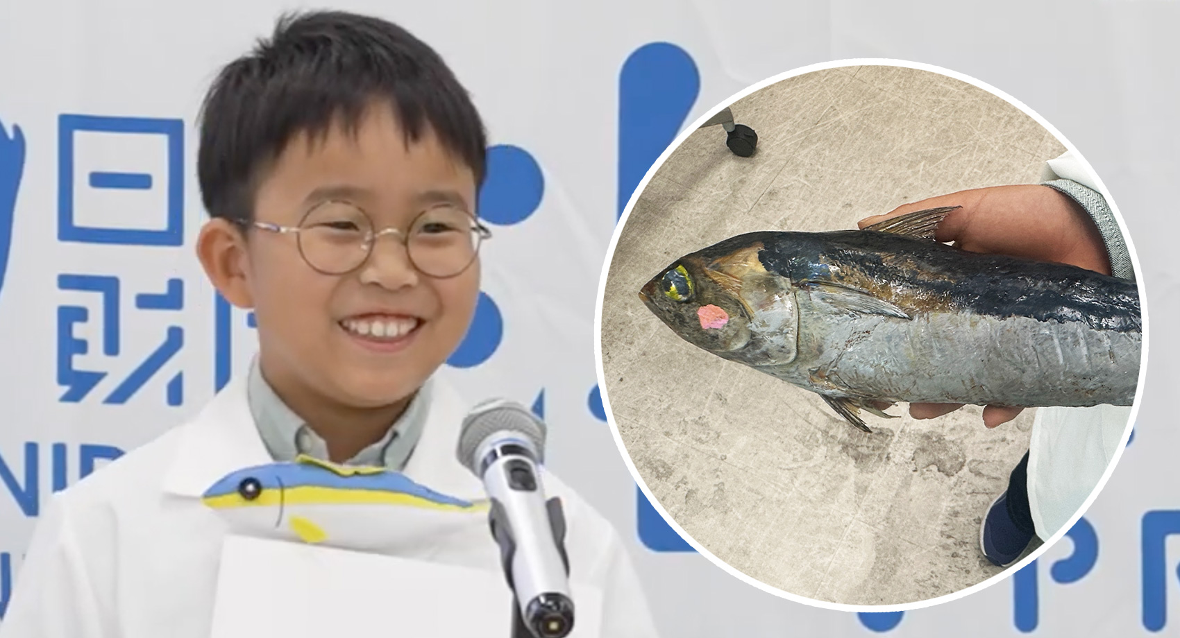 海のキッズサポーター