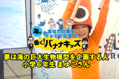海の働く！バナナキッズ　夢は海の巨大生物模型を企画する人　小学６年生まゆこさん