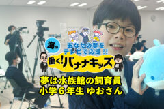 海の働く！バナナキッズ　夢は水族館の飼育員　小学６年生ゆおさん