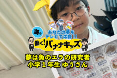 海の働く！バナナキッズ　夢は魚のエラの研究者　小学1年生ゆうさん