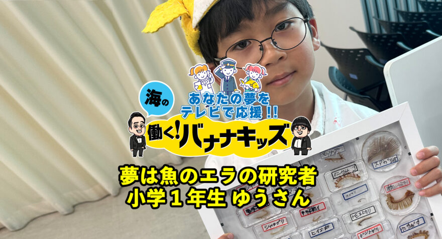 海の働く！バナナキッズ　夢は魚のエラの研究者　小学1年生ゆうさん